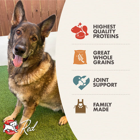 Fromm Gold Reduced Activity Senior Dry Dog Food - Chicken - 15lb Bag